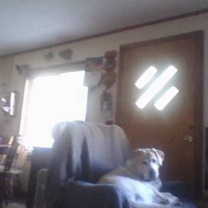 Meet your Posher, Brie